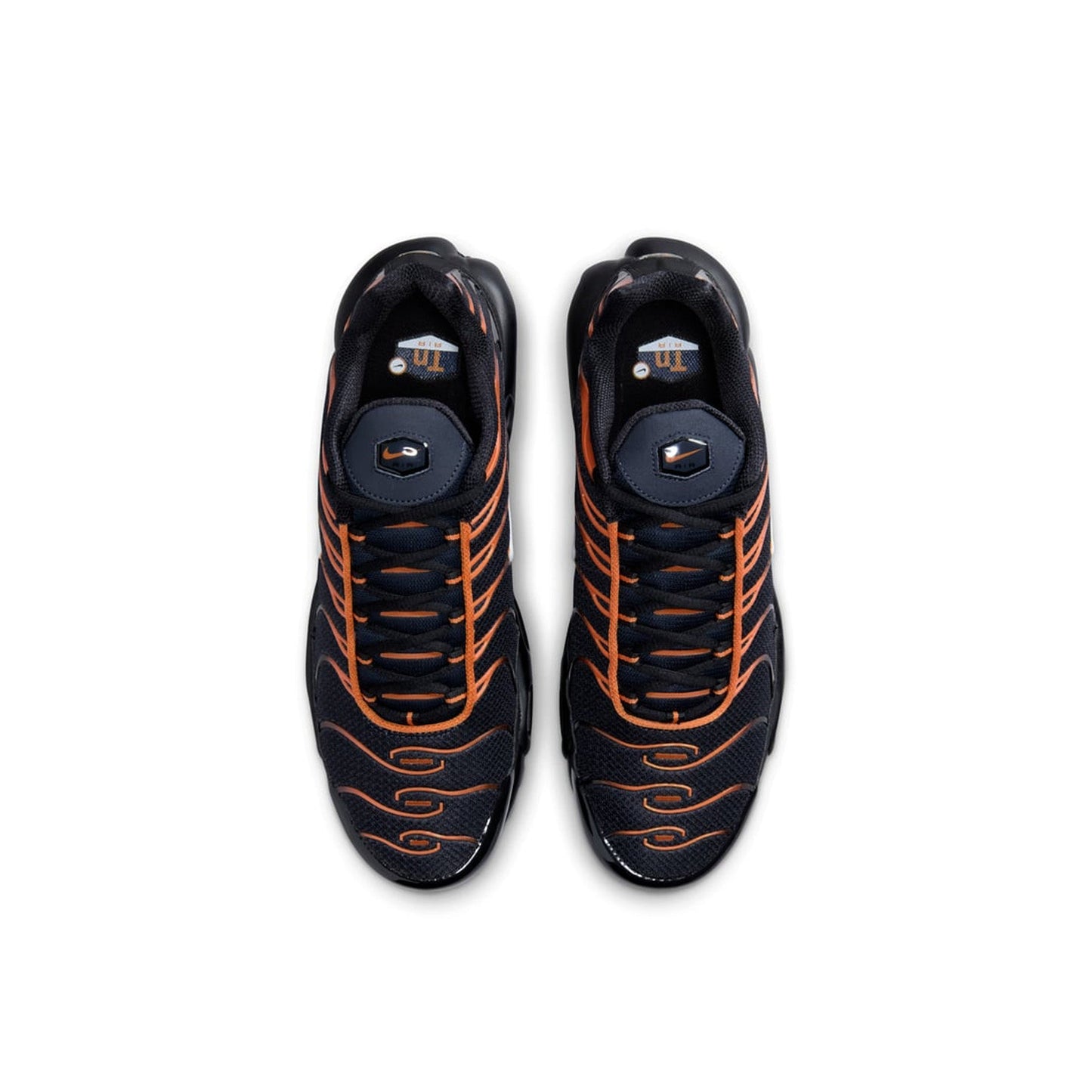 Nike Air Max Plus TN 'Dark Obsidian Monarch' (2024)
